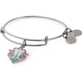 Disney Maleficent Charm Bangle