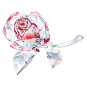 SWAROVSKI Blossoming Rose